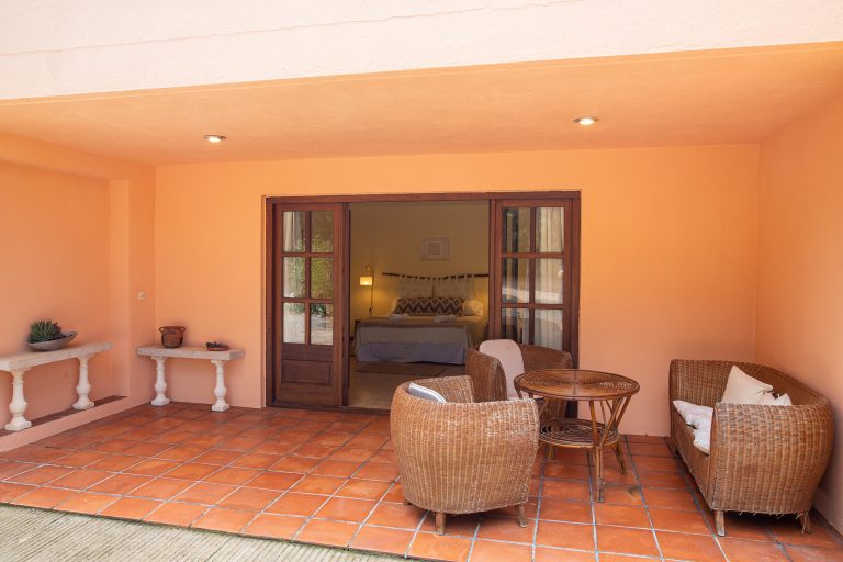Terrasse cactus