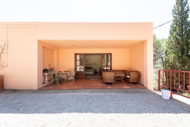 Terasse cactus 2